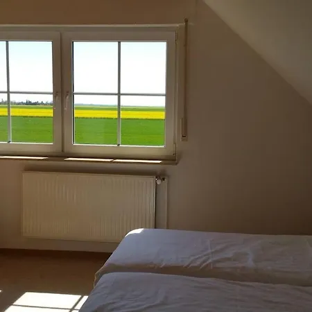 Ferienhäuser Freiblick Ditzumerverlaat Exterior foto